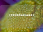 王者荣耀爆发最强的射手盘点