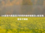 LOL配音与鬼畜茄子的奇妙视听碰撞及lol配音鬼畜茄子揭秘