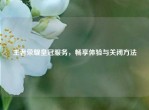 王者荣耀皇冠服务，畅享体验与关闭     