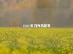 CSGO 里的养鸡趣事
