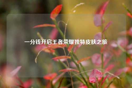 一分钱开启王者荣耀独特皮肤之旅