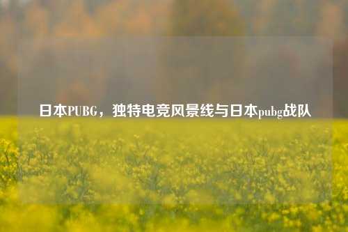 日本PUBG,独特电竞风景线与日本pubg战队