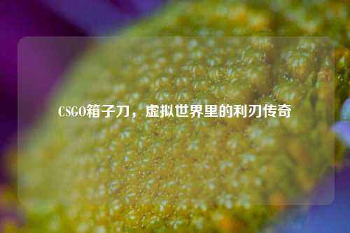 CSGO箱子刀,虚拟世界里的利刃传奇
