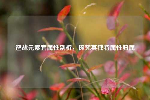 逆战元素套属性剖析,探究其独特属性归属