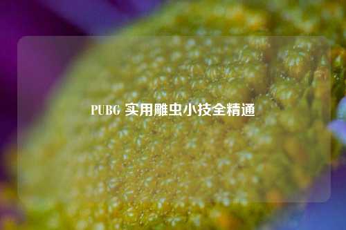 PUBG 实用雕虫小技全精通