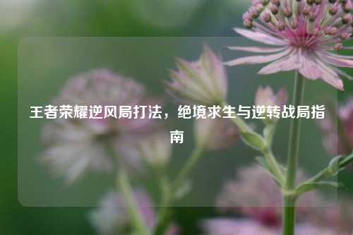 王者荣耀逆风局打法,绝境求生与逆转战局指南