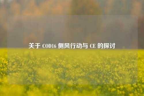 关于 COD16 侧风行动与 CE 的探讨