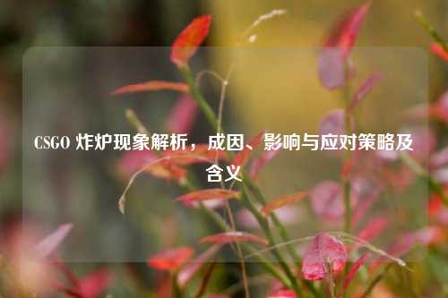 CSGO 炸炉现象解析,成因、影响与应对策略及含义