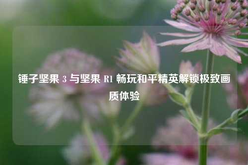 锤子坚果 3 与坚果 R1 畅玩和平精英解锁极致画质体验