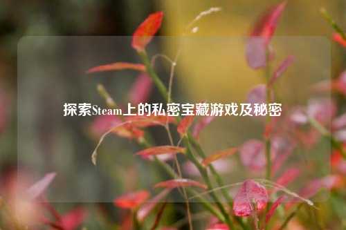 探索Steam上的私密宝藏游戏及秘密