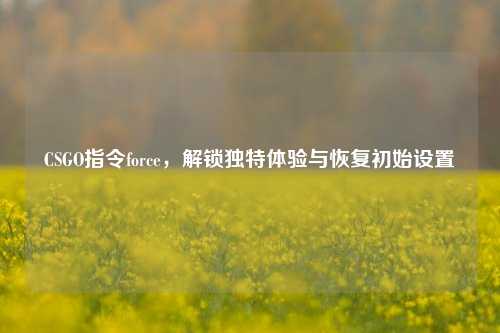 CSGO指令force,解锁独特体验与恢复初始设置