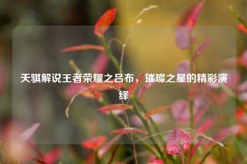 天骐解说王者荣耀之吕布,璀璨之星的精彩演绎