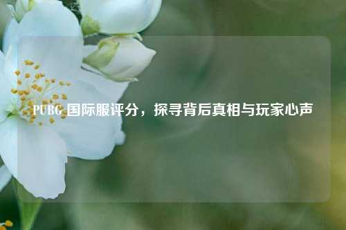 PUBG 国际服评分,探寻背后真相与玩家心声