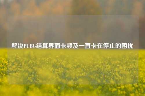 解决PUBG结算界面卡顿及一直卡在停止的困扰