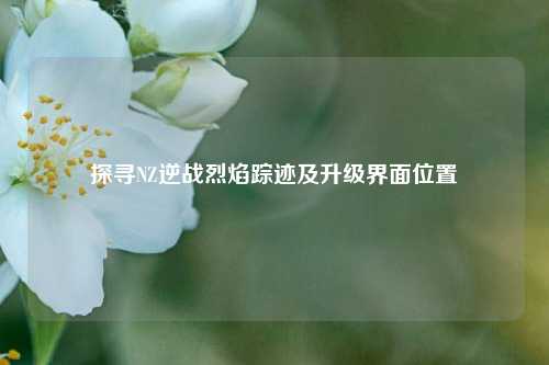 探寻NZ逆战烈焰踪迹及升级界面位置