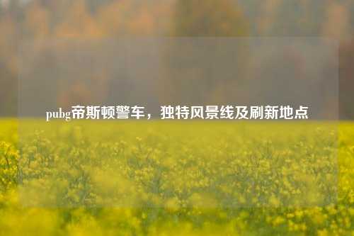 pubg帝斯顿警车,独特风景线及刷新地点