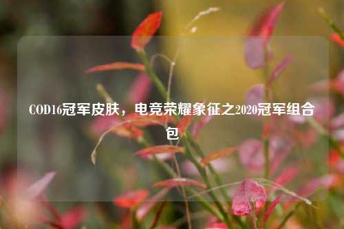 COD16冠军皮肤,电竞荣耀象征之2020冠军组合包