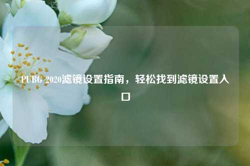PUBG 2020滤镜设置指南,轻松找到滤镜设置入口