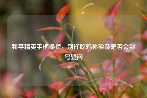 和平精英手柄操控,别样吃鸡体验及是否会封号疑问