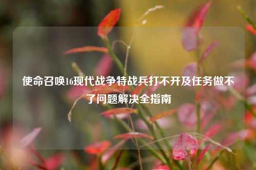 使命召唤16现代战争特战兵打不开及任务做不了问题解决全指南