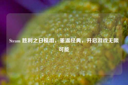 Steam 胜利之日模组,重温经典,开启游戏无限可能