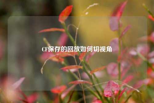 CF保存的回放如何切视角
