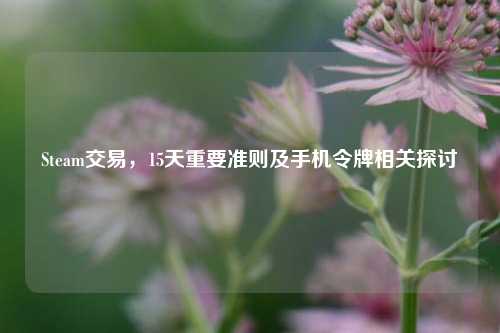 Steam交易,15天重要准则及手机令牌相关探讨