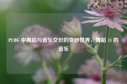 PUBG 中舞蹈与音乐交织的奇妙世界,舞蹈 11 的音乐