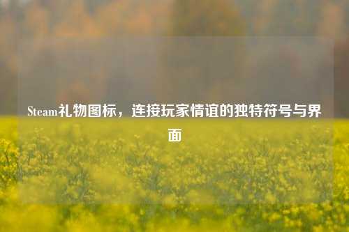 Steam礼物图标,连接玩家情谊的独特符号与界面