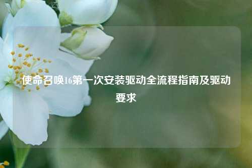 使命召唤16之一次安装驱动全流程指南及驱动要求