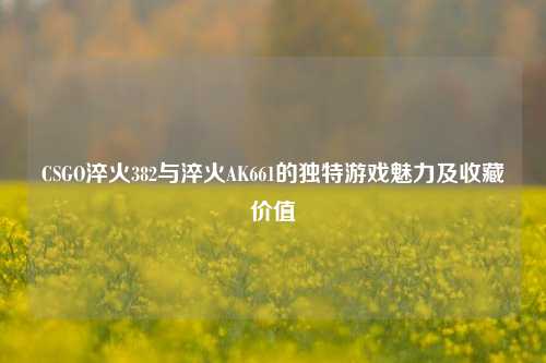 CSGO淬火382与淬火AK661的独特游戏魅力及收藏价值
