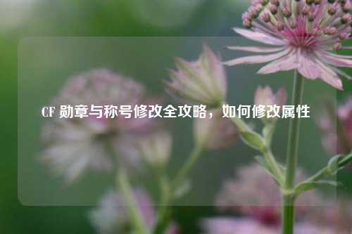 CF 勋章与称号修改全攻略,如何修改属性