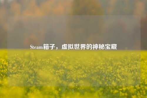 Steam箱子,虚拟世界的神秘宝藏