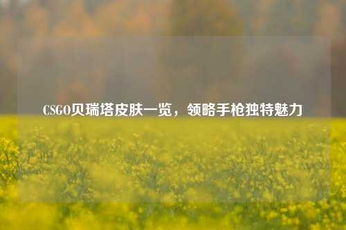 CSGO贝瑞塔皮肤一览,领略手枪独特魅力