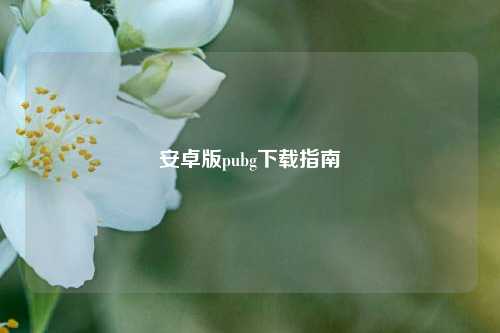 安卓版pubg下载指南