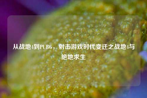 从战地4到PUBG,射击游戏时代变迁之战地4与绝地求生