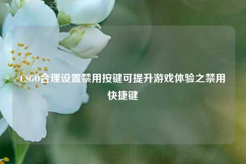 CSGO合理设置禁用按键可提升游戏体验之禁用快捷键