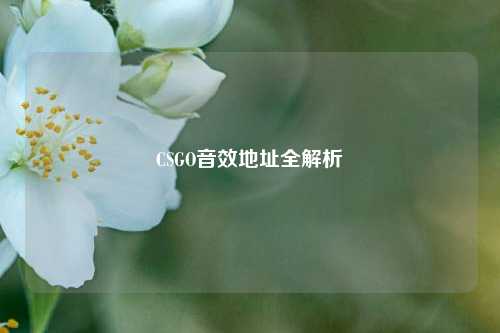 CSGO音效地址全解析