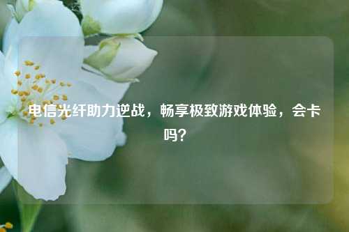 电信光纤助力逆战,畅享极致游戏体验,会卡吗?