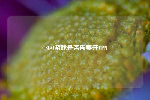 CSGO游戏是否需要开VPN