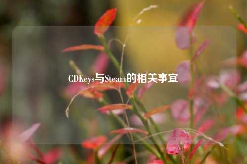 CDKeys与Steam的相关事宜