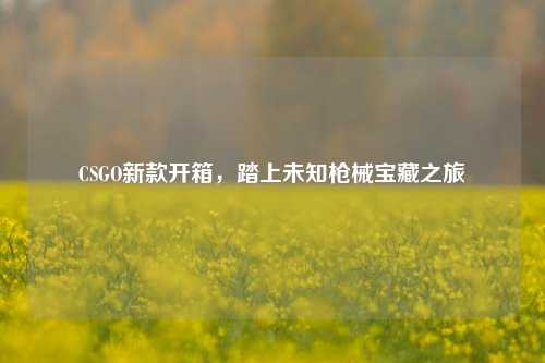 CSGO新款开箱,踏上未知枪械宝藏之旅
