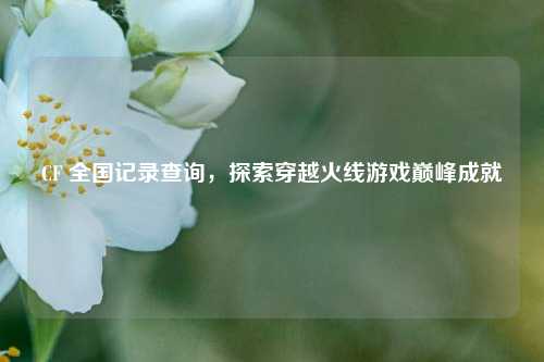 CF 全国记录查询,探索穿越火线游戏巅峰成就