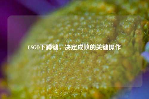 CSGO下蹲键,决定成败的关键操作